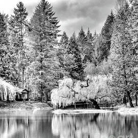 Cabin At  The Lake - Black And White by Jack Andreasen