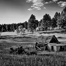 Cabin In The Black Hills in black and white by Michael R Anderson