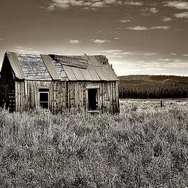 Cabin on the Prairie - Sepia by Michael R Anderson