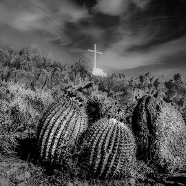 Cactus and Cross by William Hunton