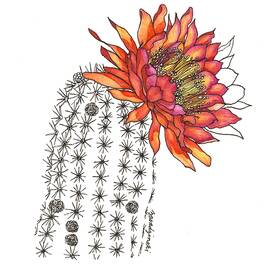 Cactus Flower by Debra Thomas-Zasadzinski