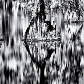 Caddo Lake water reflections by David Ilzhoefer