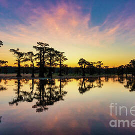 Cado Lake Dawn by Bee Creek Photography - Tod and Cynthia