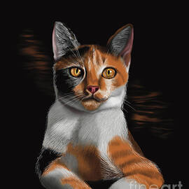 Calico Cat by Jennifer Santa Maria