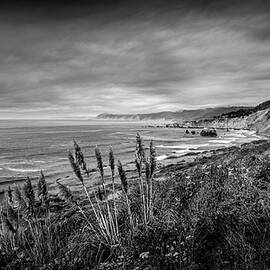 California Coast at Bruhel Point in BW by Harry Beugelink