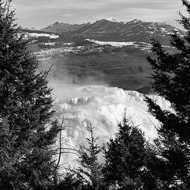 Canary Spring, Yellowstone National Park by The Yellowstone Collection