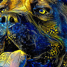 Cane Corso head close-up - starry blue with yellow colorful painting by Nicko Prints