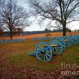 Cannons All Around by Rodger Painter