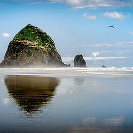 Cannon Beach and Haystack Rock by Harry Beugelink