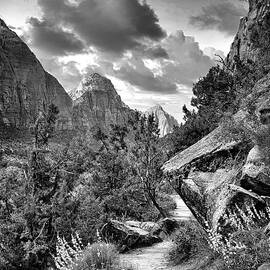 Canyon Trail 2 - BW by Michael R Anderson