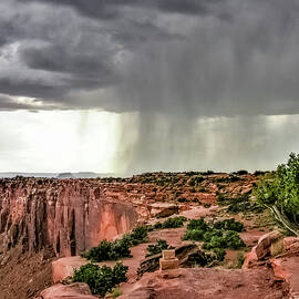 Canyonlands Rainstorm by Len Bomba