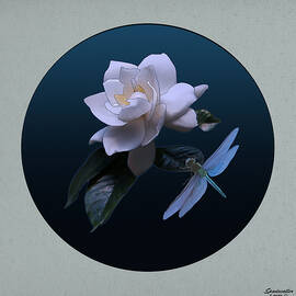 Cape Jasmine and Dragonfly by Spadecaller