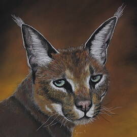 Caracal by Dreamz -