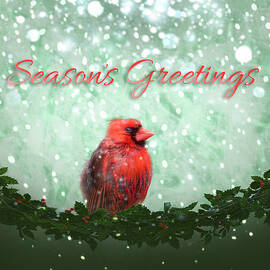 Cardinal Season's Greetings by Patti Deters