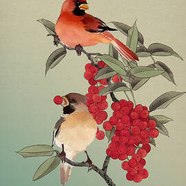 Cardinals by Spadecaller