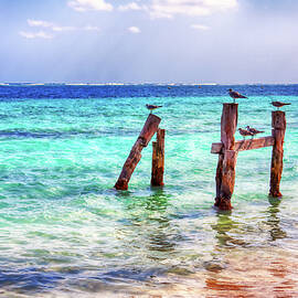 Caribbean seascape and seagulls, Puerto Morelos by Tatiana Travelways