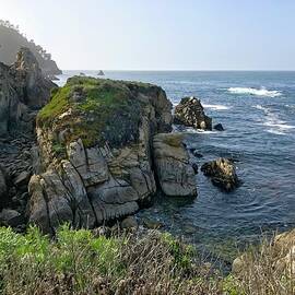 Carmel View Point Lobos by Luisa Millicent