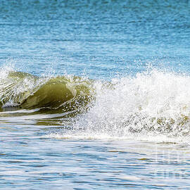 Carolina Surf by Jennifer Jenson