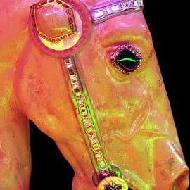 Carousel Horse by Kristy Mack