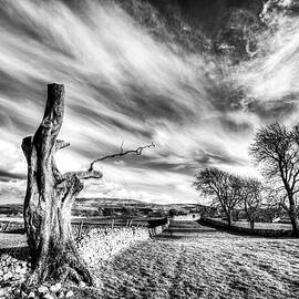 Carperby, Yorkshire Dales National Park, Black And White by Paul Thompson