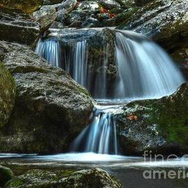 Cascade in the White Mountains by Steve Brown