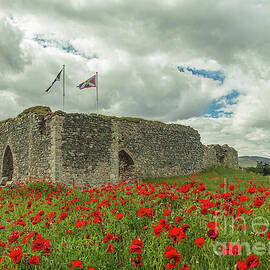 Castle Roy with Poppies by Robert Murray