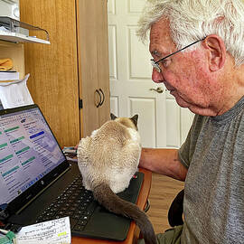Cat Helping on Computer by Sally Weigand