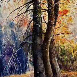 CAVE CREEK CANYON by John Glass
