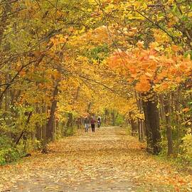Cedar Valley Nature Trail  by Lori Frisch