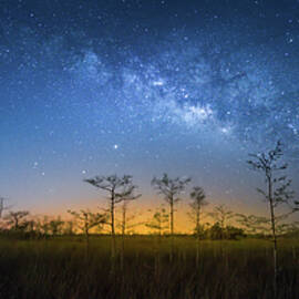 Celestial Dawn by Mark Andrew Thomas