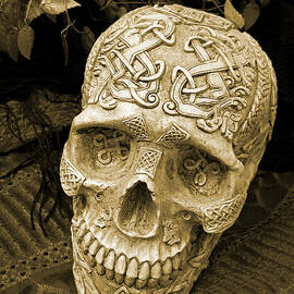Celtic Skull by Katherine Nutt