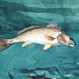 Channel Bass - Winslow Homer 1904 by War Is Hell Store