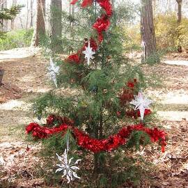 NC Pine Tree Forest with Charlie Brown Christmas Tree by Catherine Ludwig Donleycott