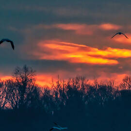 Chasing the Horizon by Eliseo Rosario