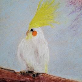 Cheeky cockatiel parrot by Lucia Waterson
