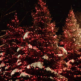 Christmas Adam Star_1580