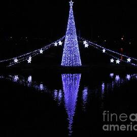 Christmas Lights In Torquay Harbour, Devon England by Lesley Evered