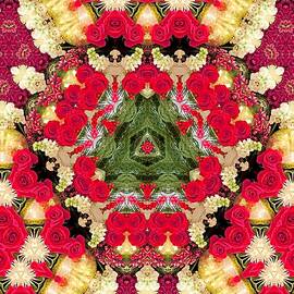 Christmas Roses Kaleidoscope  by Marian Bell