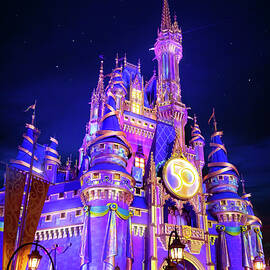 Cinderella's Enchanted Castle by Mark Andrew Thomas
