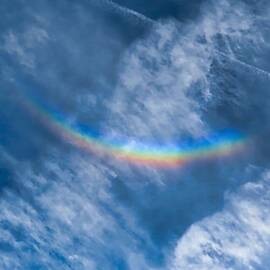 Circumzenithal Arc and Contrail by Judy Kennedy