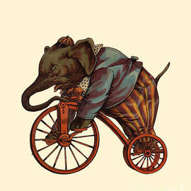 circus elephant on bike by Madame Memento