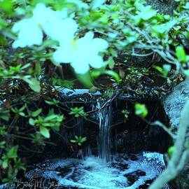 Clear Cascade by Beverly M Collins