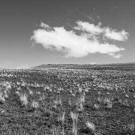 Cloud across the plains black and white by Jeff Swan