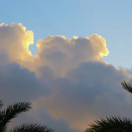 Clouds Above the Palms by Donna Kaluzniak