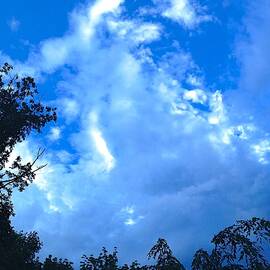 Cloudy Blue Sky by Femina Photo Art By Maggie