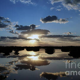 Cloudy Mangrove Sunrise