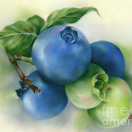 Cluster of Blueberries with Leaves by MM Anderson