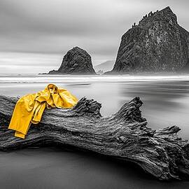 Coastal Color on Cannon Beach by Avery Luna