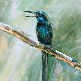 Colibri on a branch watercolor