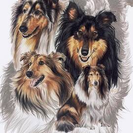 Collie Revamp by Barbara Keith
